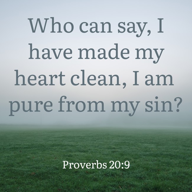 Who can say, I have made my heart clean, I am pure from my sin? - Proverbs 20:9