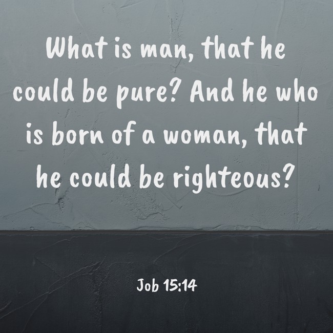 What is man, that he could be pure? And he who is born of a woman, that he could be righteous? - Job 15:14
