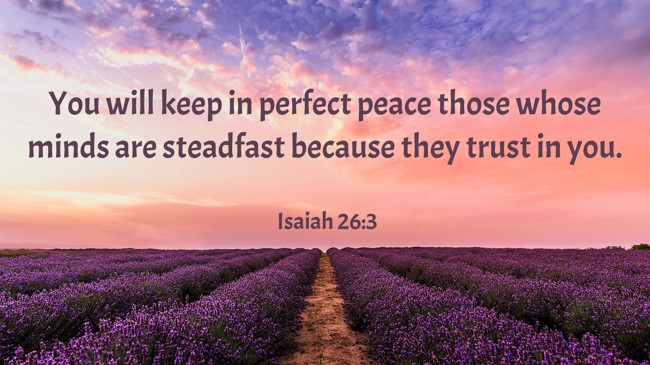  You will keep in perfect peace those whose minds are steadfast because they trust in you.   - Isaiah 26:3 