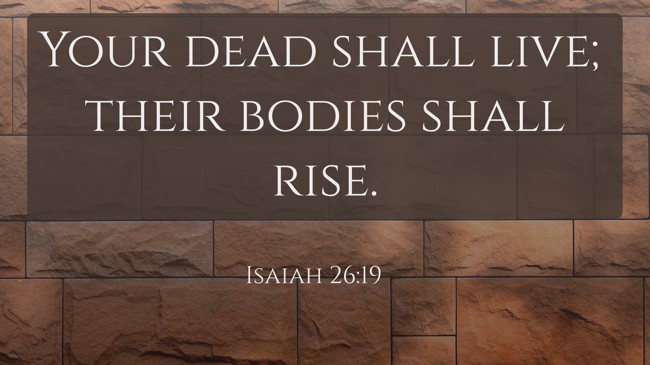 Your dead shall live; their bodies shall rise. - Isaiah 26:19