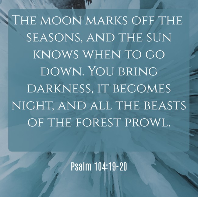 The moon marks off the seasons, and the sun knows when to go down. You bring darkness, it becomes night, and all the beasts of the forest prowl. - Psalm 104:19-20