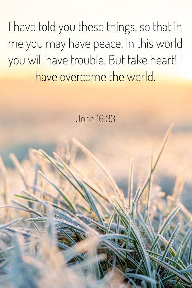 I have told you these things, so that in me you may have peace. In this world you will have trouble. But take heart! I have overcome the world. - John 16:33