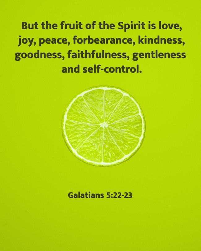 But the fruit of the Spirit is love, joy, peace, forbearance, kindness, goodness, faithfulness, gentleness and self-control. - Galatians 5:22-23