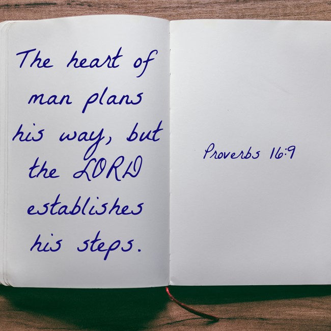 The heart of man plans his way, but the LORD establishes his steps. - Proverbs 16:9