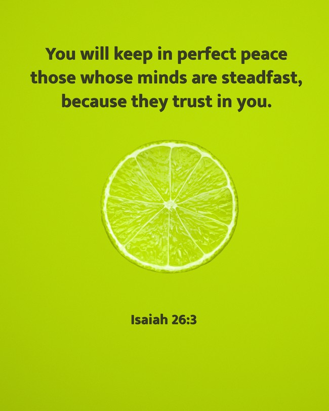 You will keep in perfect peace those whose minds are steadfast, because they trust in you. - Isaiah 26:3