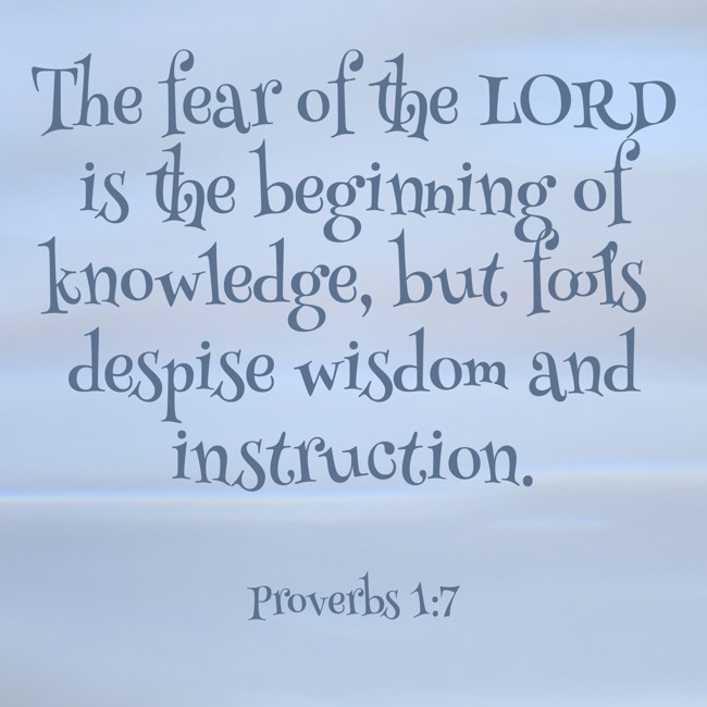 The fear of the LORD is the beginning of knowledge, but fools despise wisdom and instruction. - Proverbs 1:7