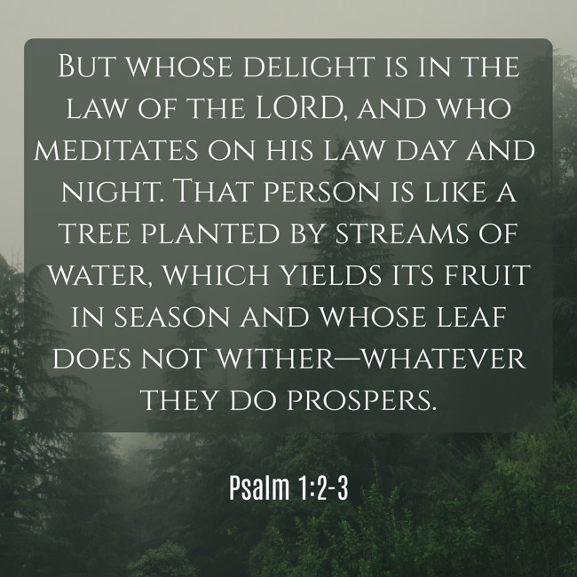 But whose delight is in the law of the LORD, and who meditates on his law day and night. That person is like a tree planted by streams of water, which yields its fruit in season and whose leaf does not wither—whatever they do prospers. - Psalm 1:2-3