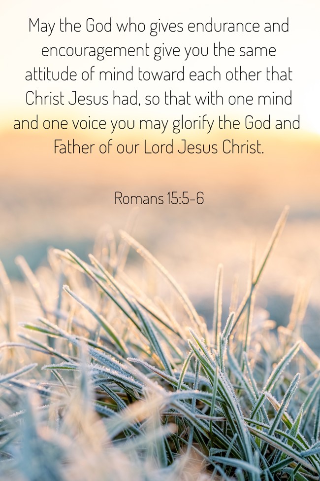 May the God who gives endurance and encouragement give you the same attitude of mind toward each other that Christ Jesus had, so that with one mind and one voice you may glorify the God and Father of our Lord Jesus Christ. - Romans 15:5-6