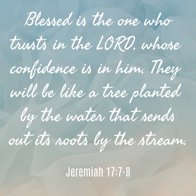 Blessed is the one who trusts in the LORD, whose confidence is in him. They will be like a tree planted by the water that sends out its roots by the stream. - Jeremiah 17:7-8