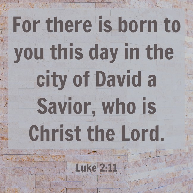 For there is born to you this day in the city of David a Savior, who is Christ the Lord. - Luke 2:11
