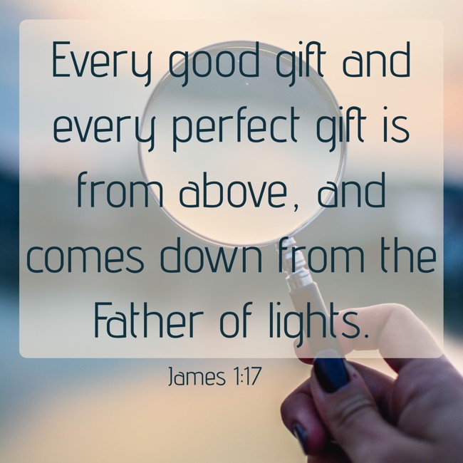 Every good gift and every perfect gift is from above, and comes down from the Father of lights. - James 1:17