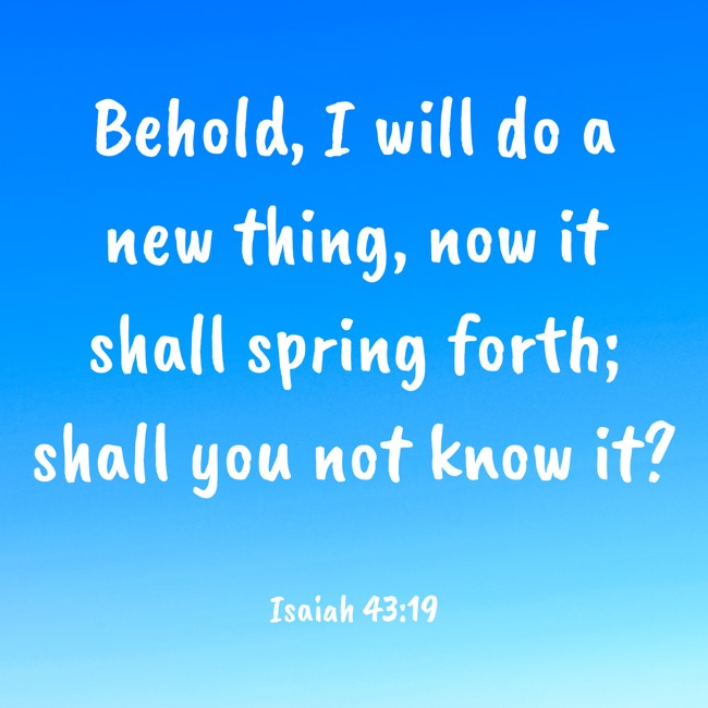 Behold, I will do a new thing, now it shall spring forth; shall you not know it? - Isaiah 43:19