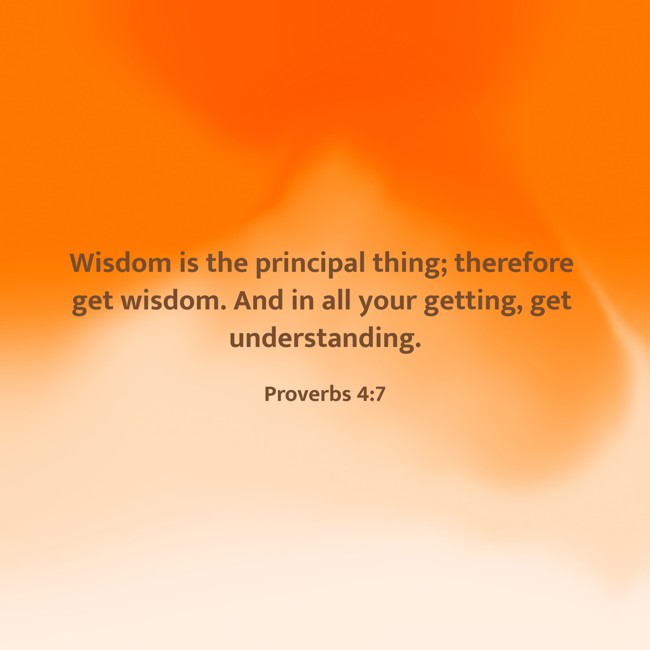 Wisdom is the principal thing; therefore get wisdom. And in all your getting, get understanding. - Proverbs 4:7