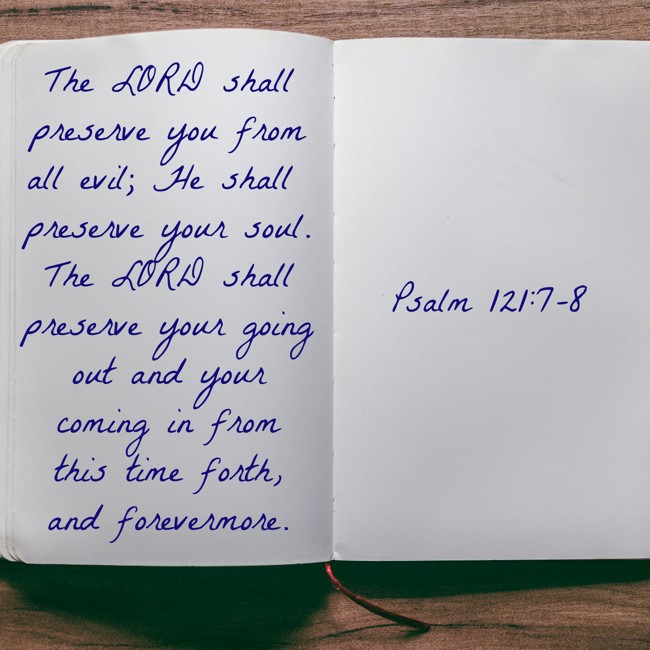 The LORD shall preserve you from all evil; He shall preserve your soul. The LORD shall preserve your going out and your coming in from this time forth, and forevermore. - Psalm 121:7-8