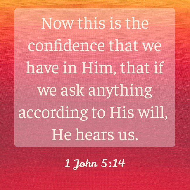 Now this is the confidence that we have in Him, that if we ask anything according to His will, He hears us. - 1 John 5:14