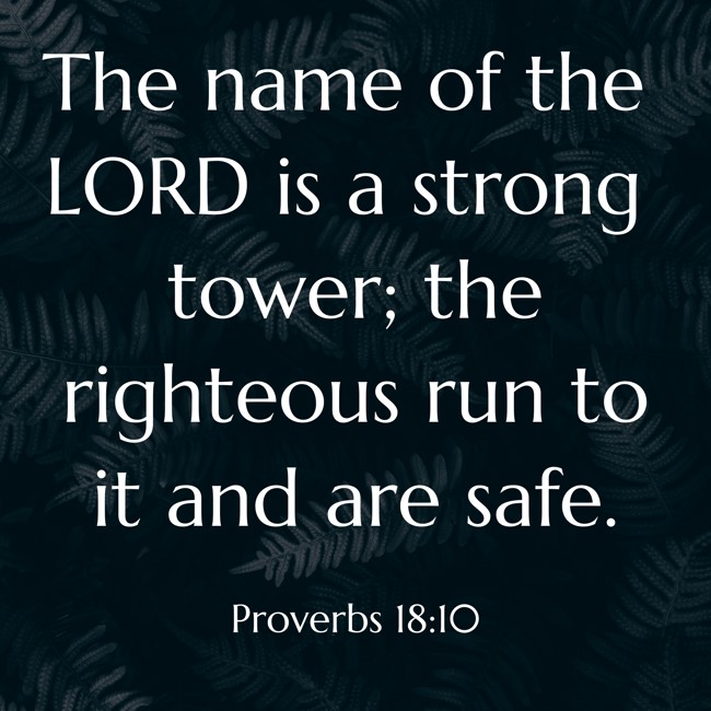 The name of the LORD is a strong tower; the righteous run to it and are safe. - Proverbs 18:10