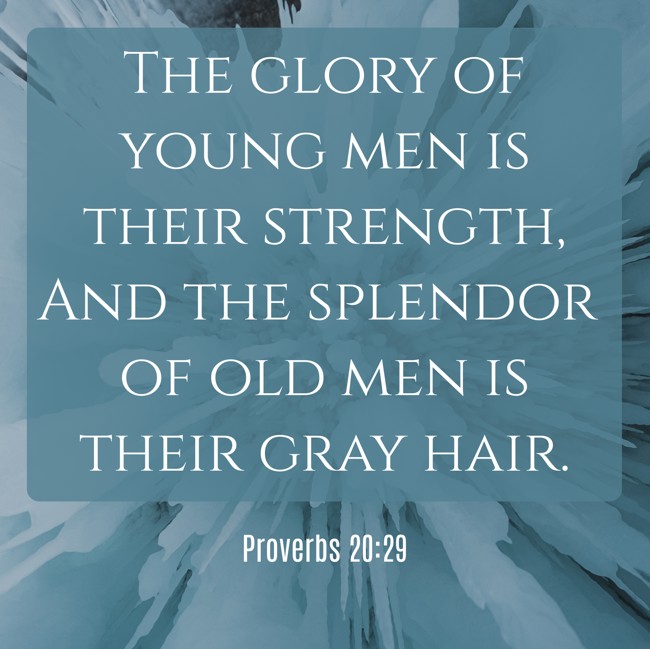The glory of young men is their strength, And the splendor of old men is their gray hair. - Proverbs 20:29