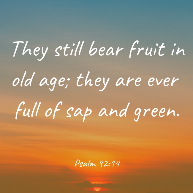 They still bear fruit in old age; they are ever full of sap and green. - Psalm 92:14