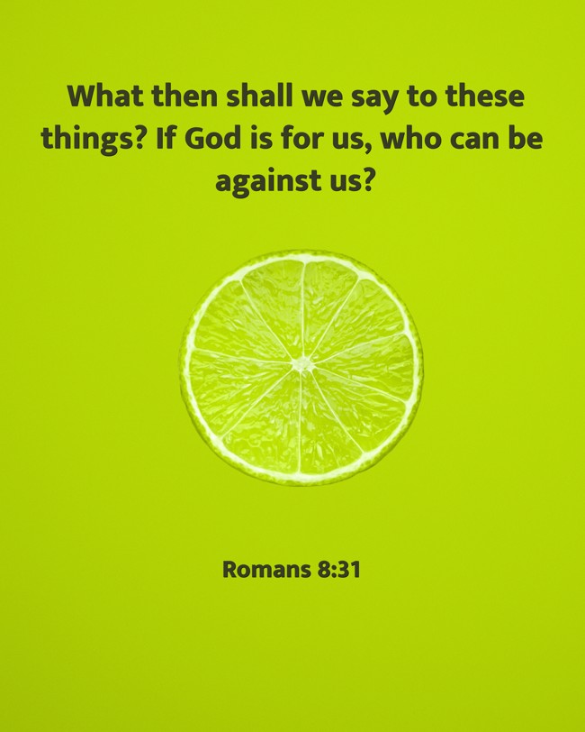 What then shall we say to these things? If God is for us, who can be against us? - Romans 8:31