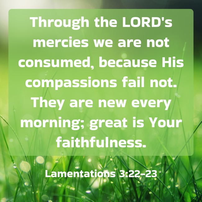 Through the LORD's mercies we are not consumed, because His compassions fail not. They are new every morning; great is Your faithfulness. - Lamentations 3:22-23