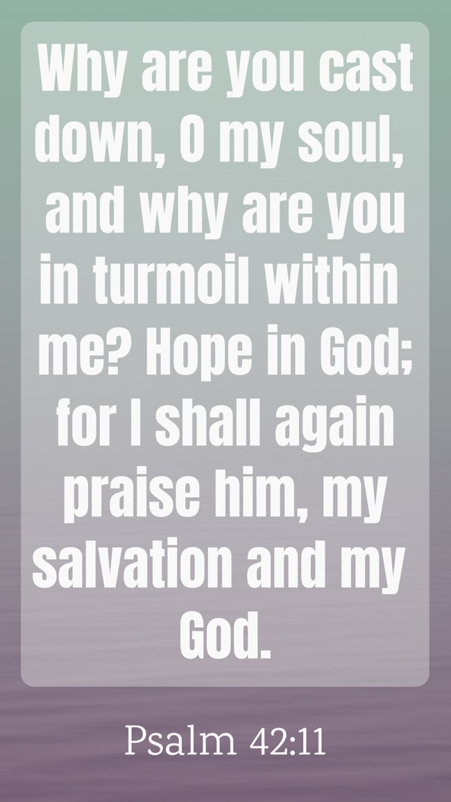 Why are you cast down, O my soul, and why are you in turmoil within me? Hope in God; for I shall again praise him, my salvation and my God. - Psalm 42:11