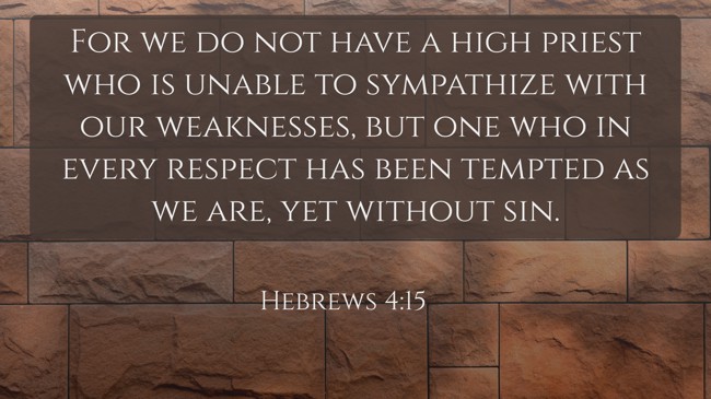 For we do not have a high priest who is unable to sympathize with our weaknesses, but one who in every respect has been tempted as we are, yet without sin. - Hebrews 4:15
