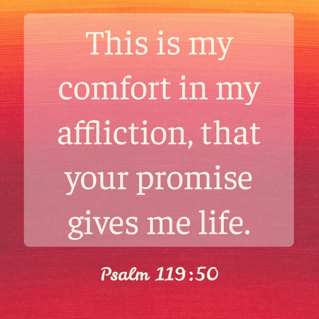 This is my comfort in my affliction, that your promise gives me life. - Psalm 119:50