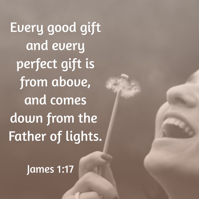  Every good gift and every perfect gift is from above, and comes down from the Father of lights.   - James 1:17 