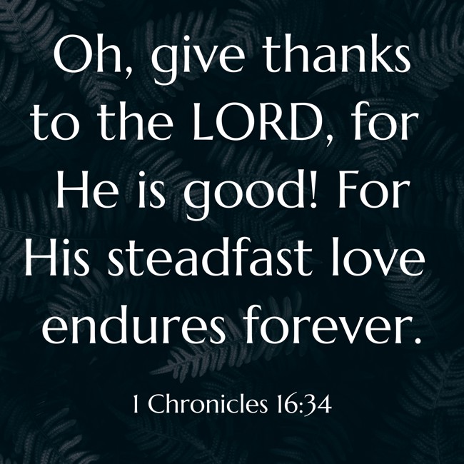  Oh, give thanks to the LORD, for He is good! For His steadfast love endures forever.   - 1 Chronicles 16:34 
