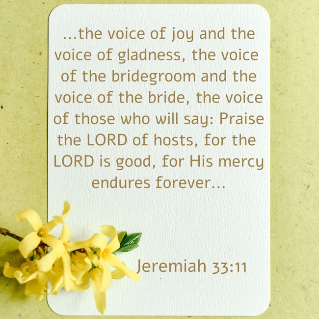  ...the voice of joy and the voice of gladness, the voice of the bridegroom and the voice of the bride, the voice of those who will say: Praise the LORD of hosts, for the LORD is good, for His mercy endures forever...   - Jeremiah 33:11 
