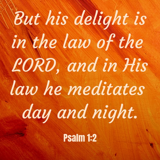 But his delight is in the law of the LORD, and in His law he meditates day and night. - Psalm 1:2