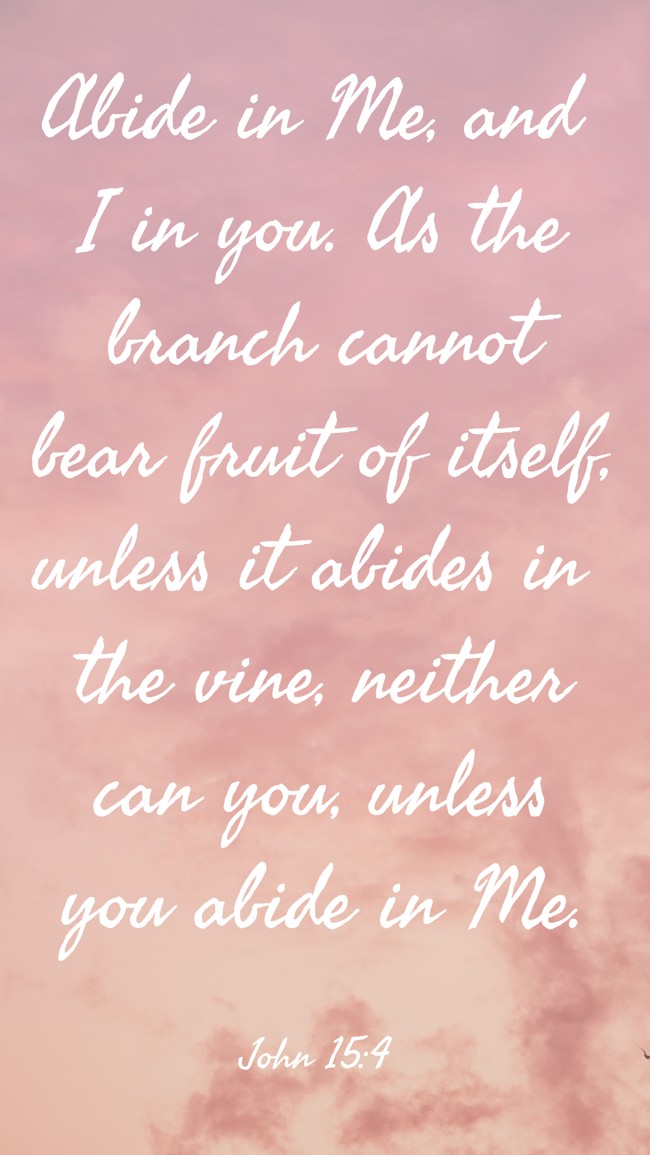 Abide in Me, and I in you. As the branch cannot bear fruit of itself, unless it abides in the vine, neither can you, unless you abide in Me. - John 15:4