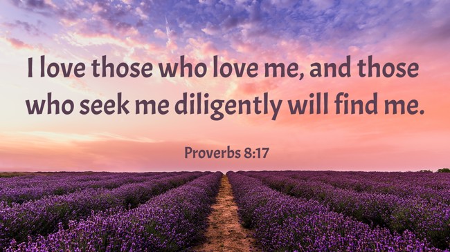 I love those who love me, and those who seek me diligently will find me. - Proverbs 8:17