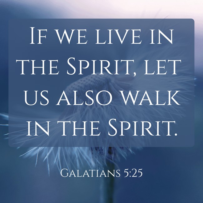 If we live in the Spirit, let us also walk in the Spirit. - Galatians 5:25