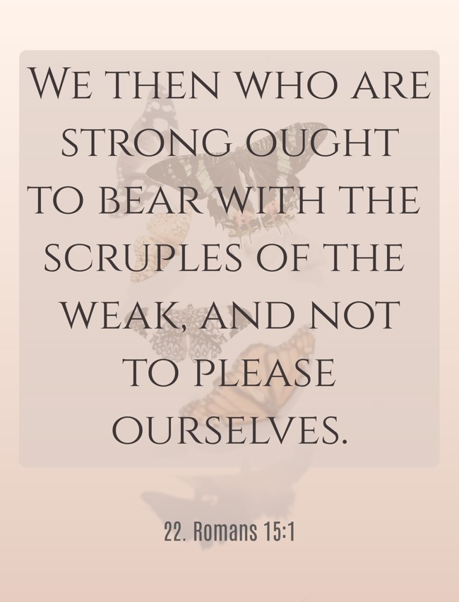 We then who are strong ought to bear with the scruples of the weak, and not to please ourselves. - 22. Romans 15:1