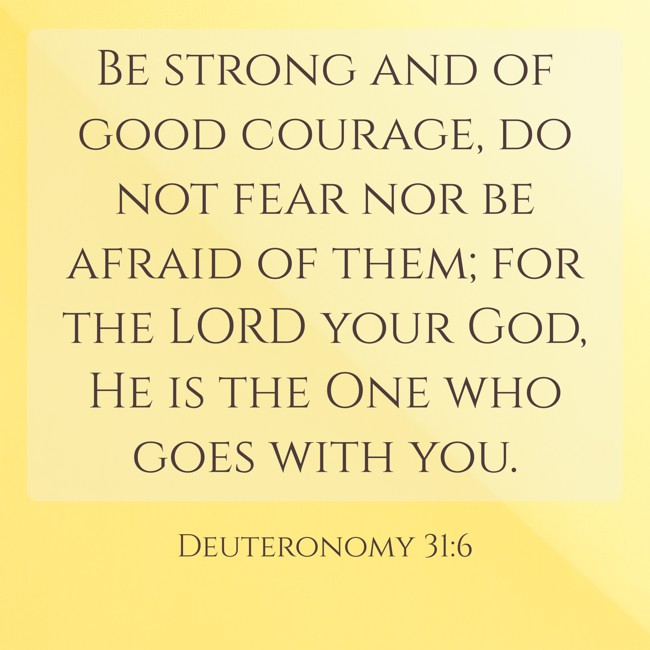 Be strong and of good courage, do not fear nor be afraid of them; for the LORD your God, He is the One who goes with you. - Deuteronomy 31:6