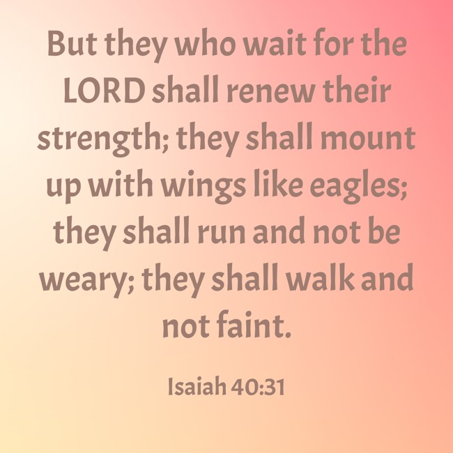 But they who wait for the LORD shall renew their strength; they shall mount up with wings like eagles; they shall run and not be weary; they shall walk and not faint. - Isaiah 40:31