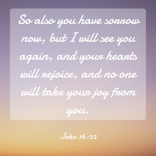 So also you have sorrow now, but I will see you again, and your hearts will rejoice, and no one will take your joy from you. - John 16:22