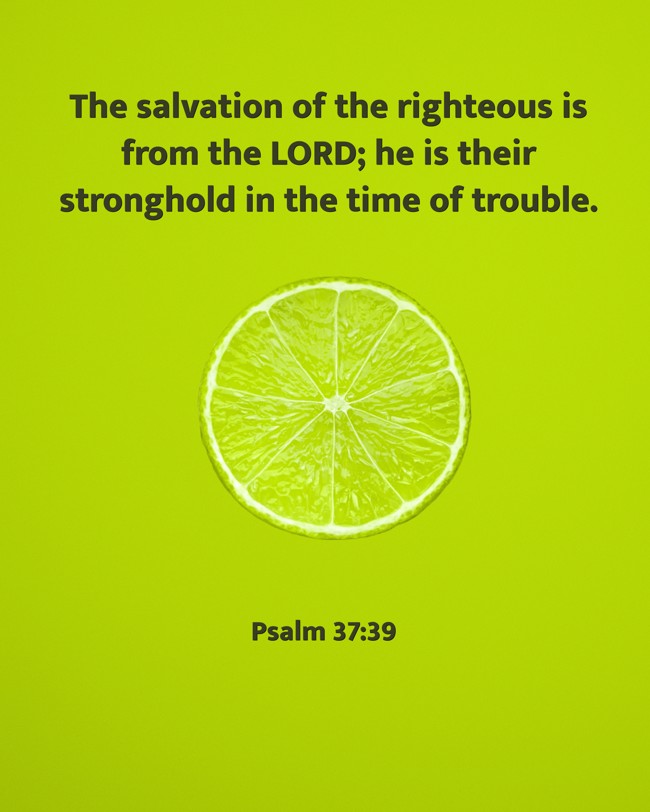 The salvation of the righteous is from the LORD; he is their stronghold in the time of trouble. - Psalm 37:39