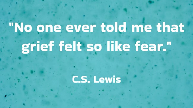 No one ever told me that grief felt so like fear. - C.S. Lewis