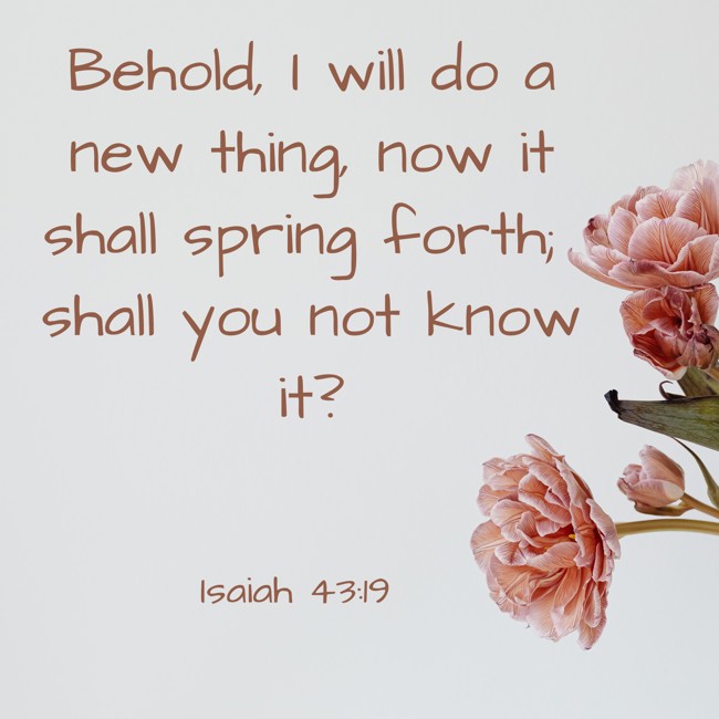 Behold, I will do a new thing, now it shall spring forth; shall you not know it? - Isaiah 43:19