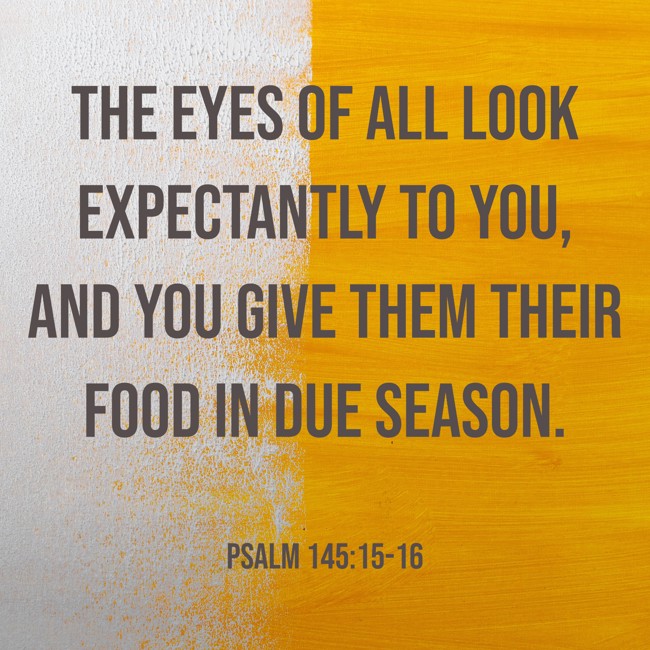 The eyes of all look expectantly to You, and You give them their food in due season. - Psalm 145:15-16