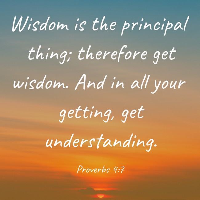 Wisdom is the principal thing; therefore get wisdom. And in all your getting, get understanding. - Proverbs 4:7