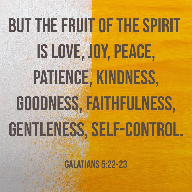 But the fruit of the Spirit is love, joy, peace, patience, kindness, goodness, faithfulness, gentleness, self-control. - Galatians 5:22-23