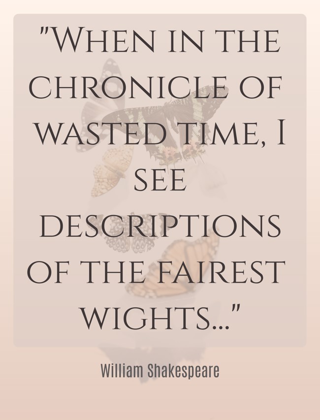 When in the chronicle of wasted time, I see descriptions of the fairest wights... - William Shakespeare