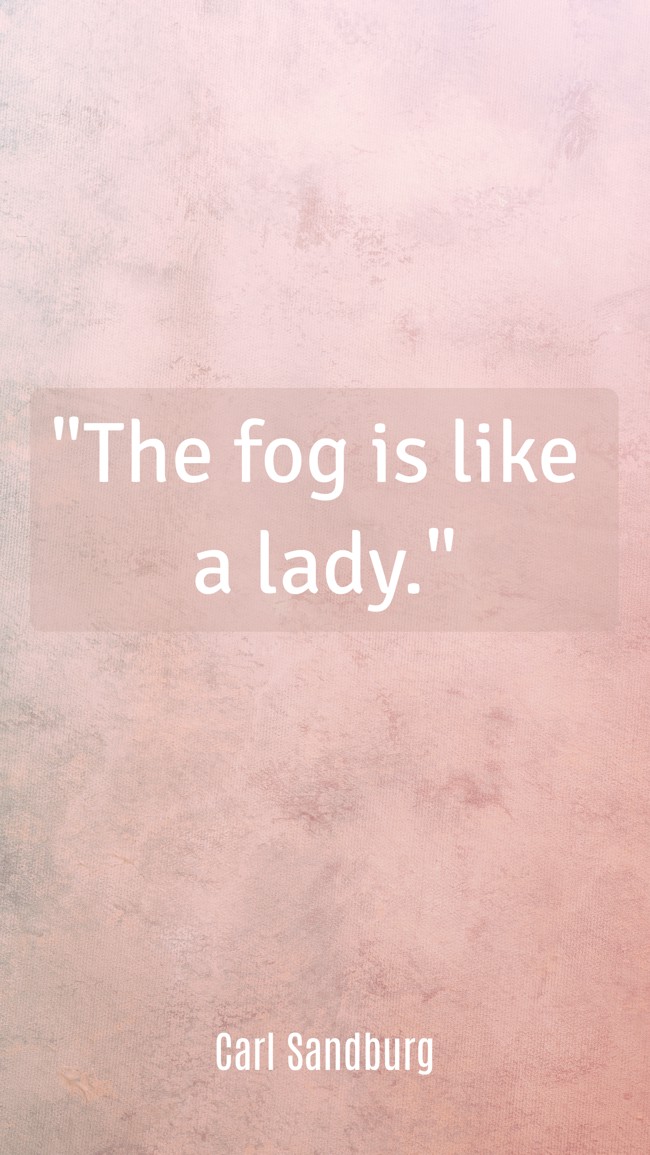The fog is like a lady. - Carl Sandburg