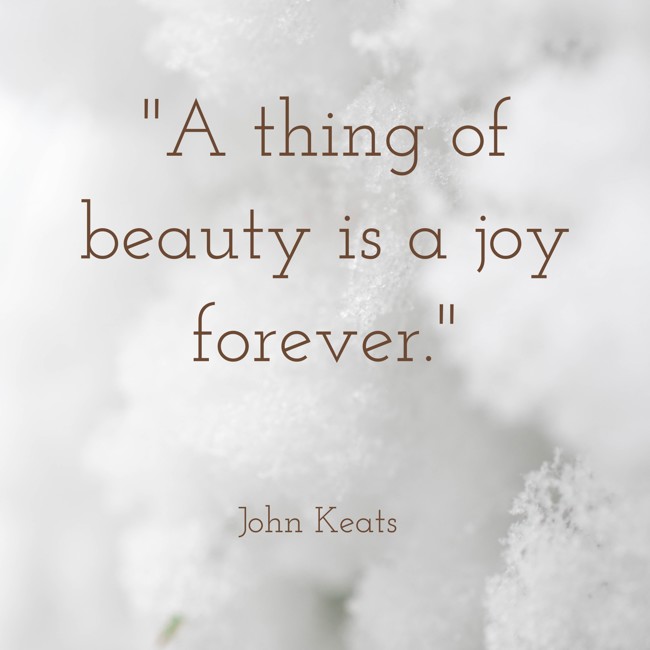 A thing of beauty is a joy forever. - John Keats