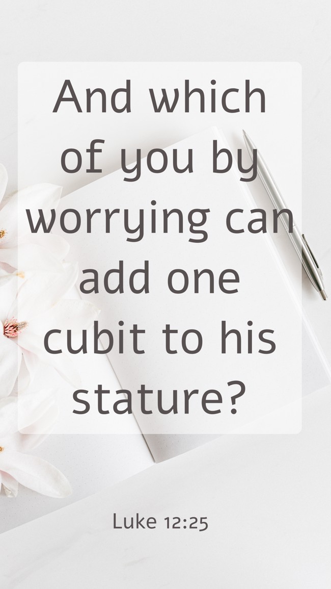 And which of you by worrying can add one cubit to his stature? - Luke 12:25