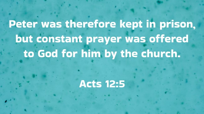 Peter was therefore kept in prison, but constant prayer was offered to God for him by the church. - Acts 12:5
