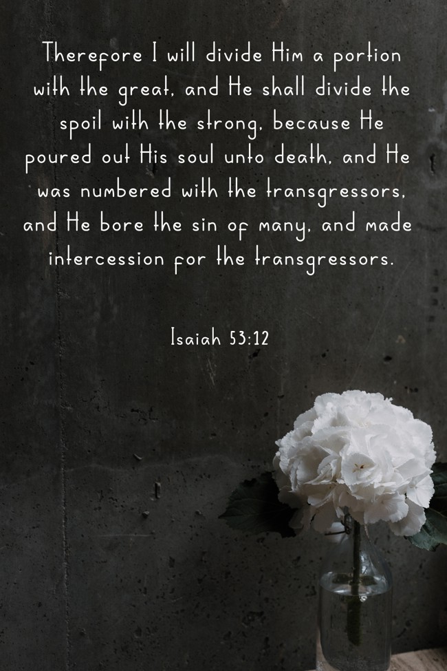 Therefore I will divide Him a portion with the great, and He shall divide the spoil with the strong, because He poured out His soul unto death, and He was numbered with the transgressors, and He bore the sin of many, and made intercession for the transgressors. - Isaiah 53:12